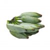 ASH PLANTAIN