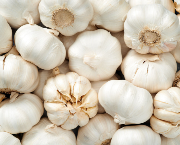 LOOSE GARLIC