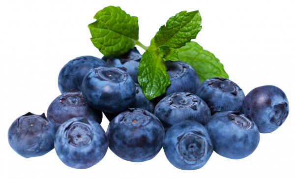 BLUEBERRY